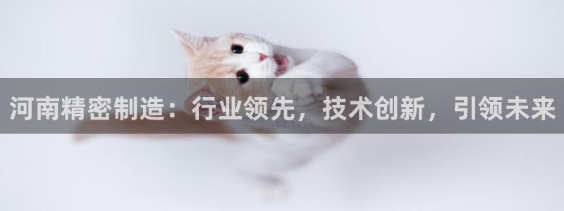 彩神vlll(中国)百度百科：河南精密制造：行业领先，技术创新，引领未来