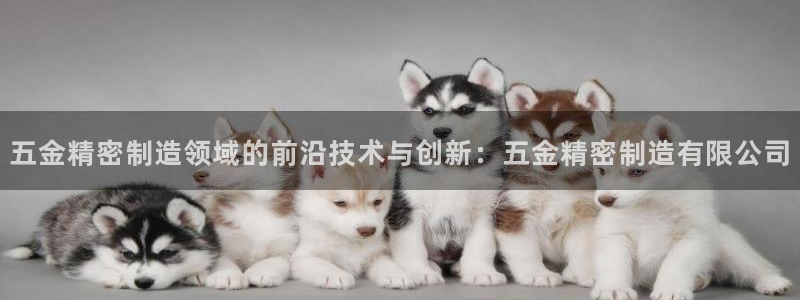 彩神v争霸有限公司