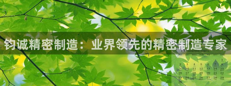 彩神VI首页