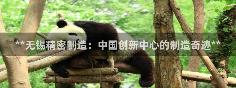 彩神输的钱是赌博还是诈骗