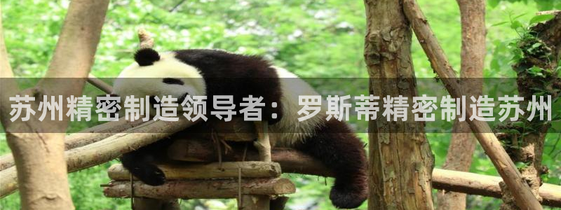 彩神是怎样一个平台