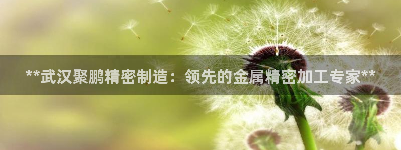 彩神到底能不能赚钱