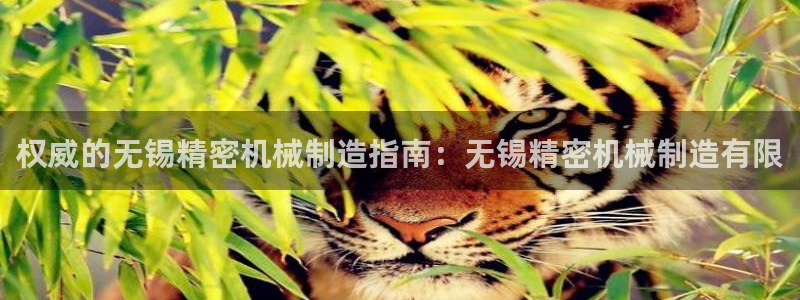 彩神vii官网大赢家