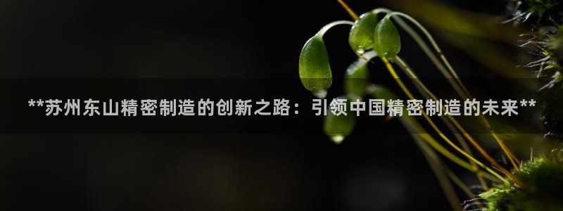 彩神ii官方网