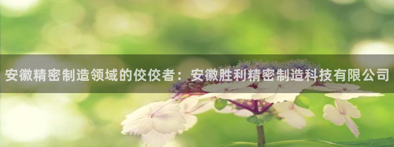 彩神是正规平台吗安全吗
