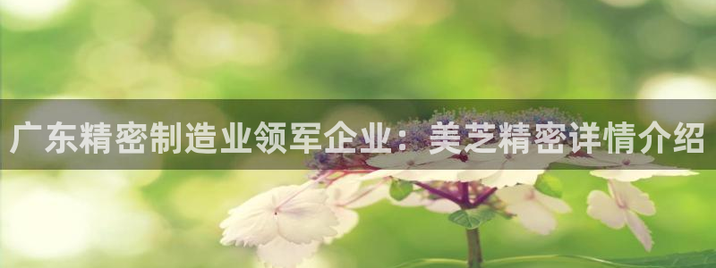 彩神网正规吗