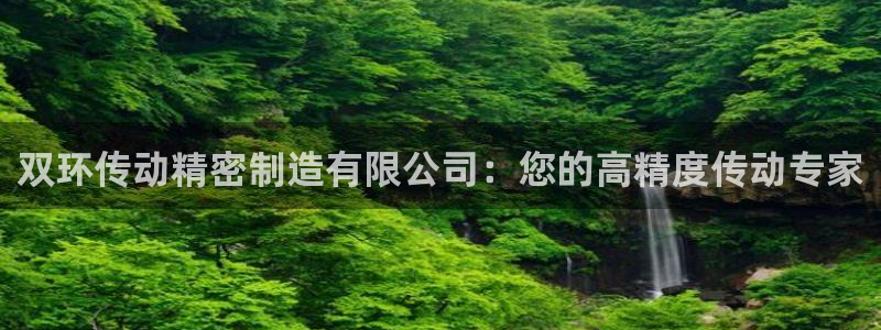 彩神赢钱了吗