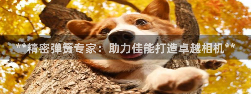 彩神x平台靠什么盈利