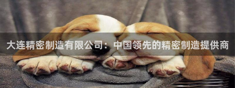 下载彩神乐发V