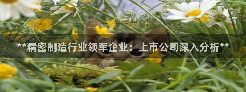 彩神骗局