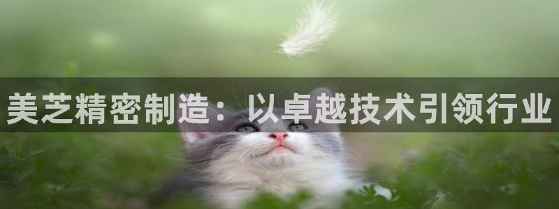 彩神vip购彩