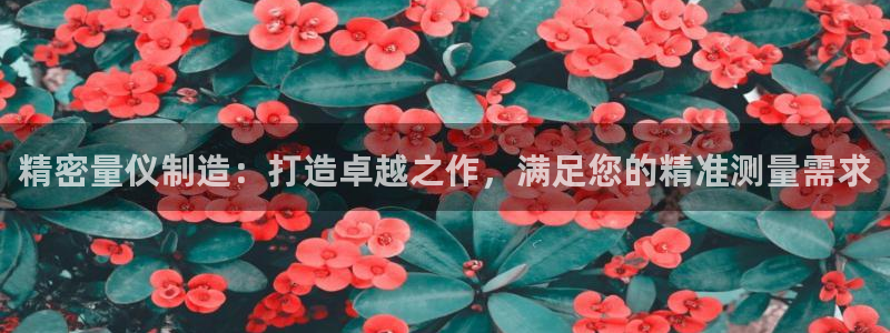 彩神vl官网