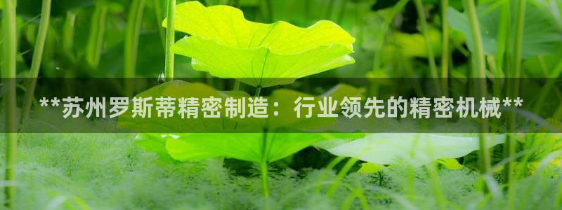彩神v8下载