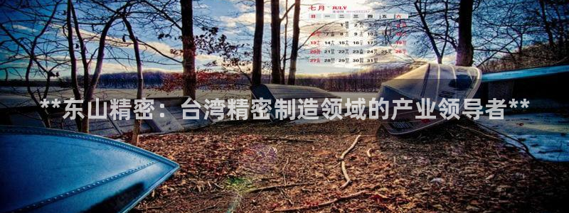 彩神app赚钱是真是假