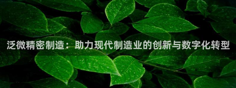 彩神Vii购彩-购彩大厅