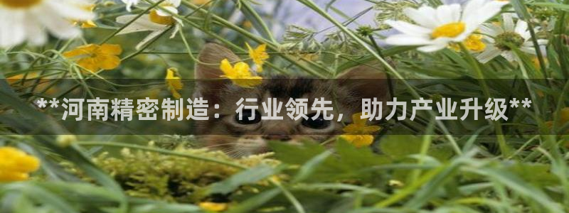 彩神ios下载