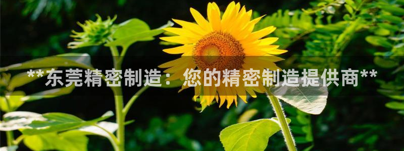 彩神官方邀请码是多少