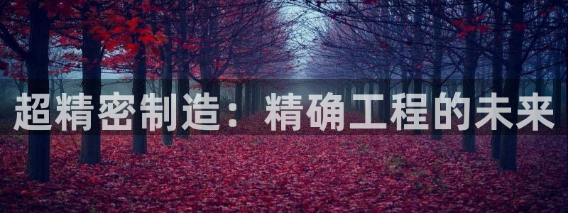 彩神v彩搜狗