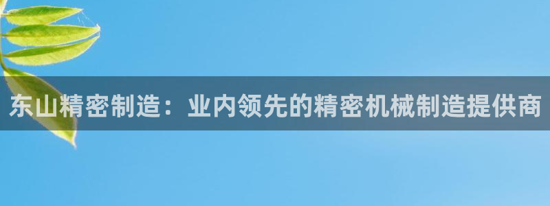 彩神v8是一个什么平台啊：东山精密制造：业内领先的精密机械制造提供商