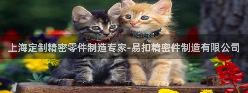 彩神v