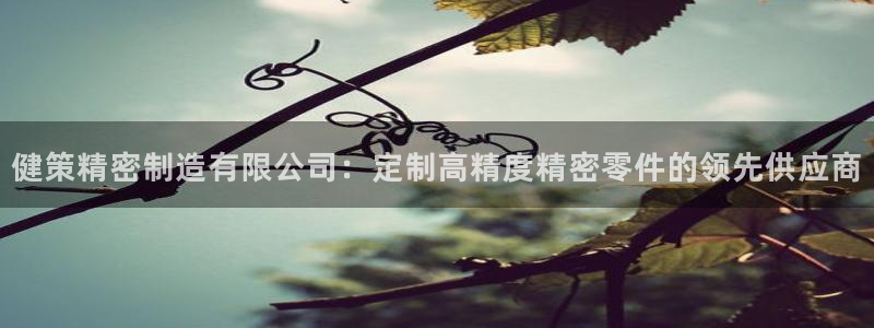 彩神大发黑平台
