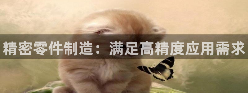 彩神vii官网大赢家