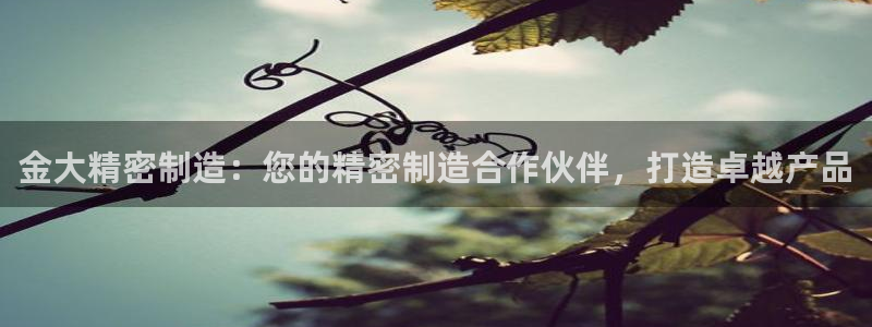 彩神v集团有限公司