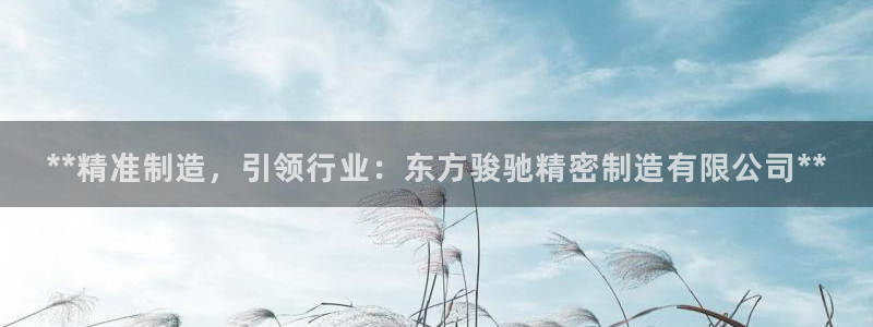 彩神VI首页