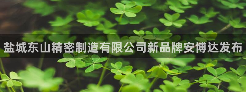 彩神vlll官方网
