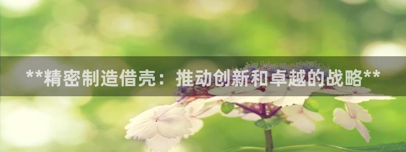 彩神8是正规平台吗安全吗