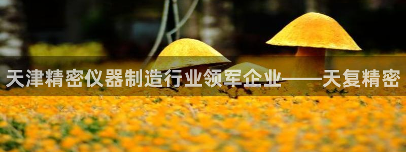 彩神赢钱了吗