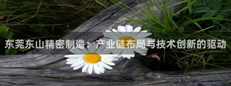 彩神v8平台正规吗