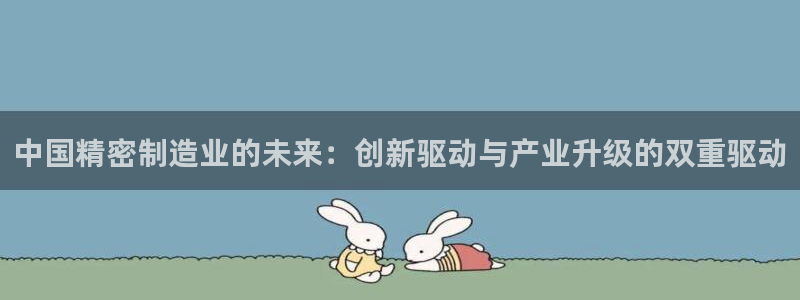 有谁知道彩神争霸的网址：中国精密制造业的未来：创新驱动与产业升级的双重驱动