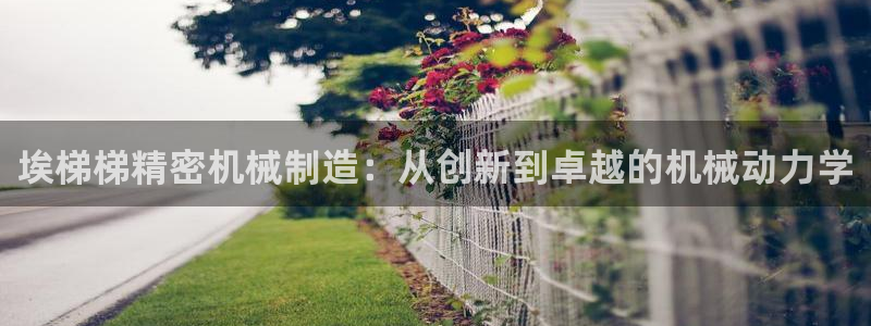 彩神v8首页