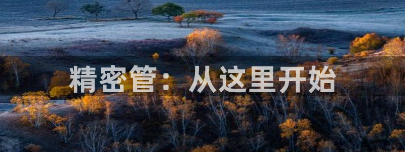 彩神v8手机客户端