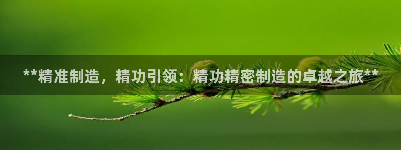 彩神ix官网是哪个公司的：**精准制造，精功引领：精功精密制造的卓越之旅**