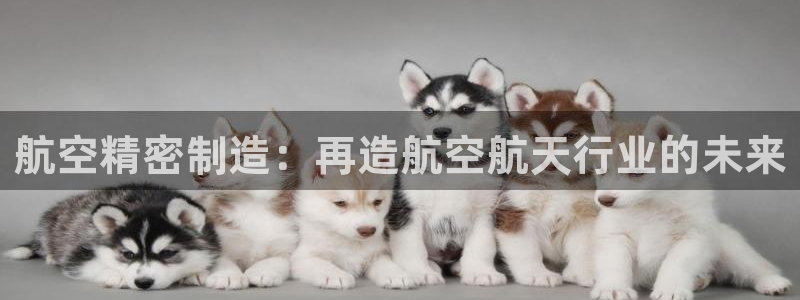 新版彩神v8登录教程