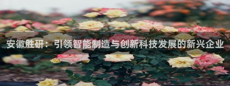 彩神争霸官方登录：安徽胜研：引领智能制造与创新科技发展的新兴企业