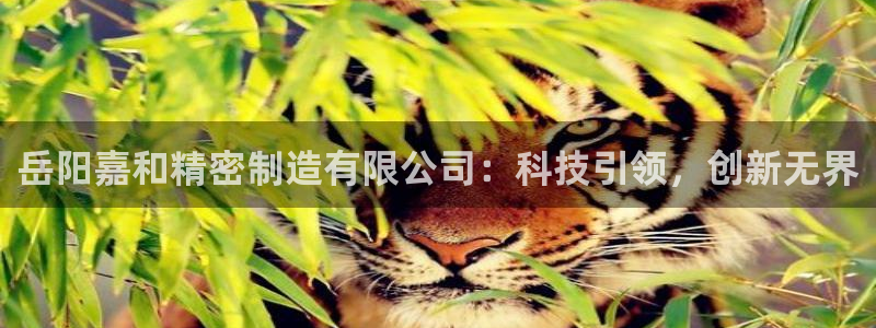 彩神输的钱是赌博还是诈骗
