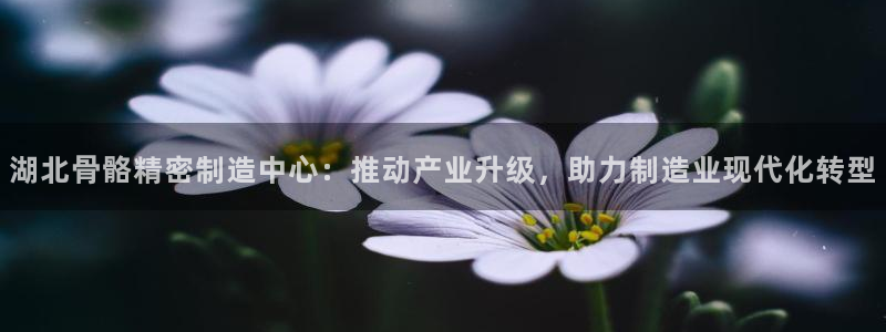 彩神vll官网在线登