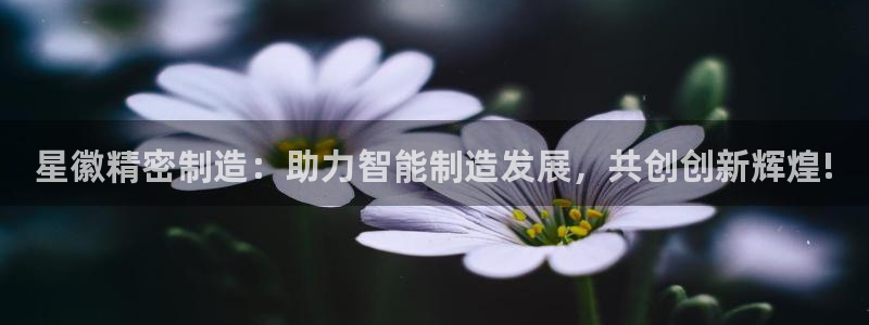 彩神v秘聊号码：星徽