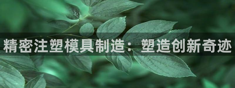 彩神ii官方网