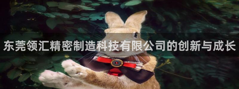 彩神iv争霸购彩大厅：东莞领汇精密制造科技有限公司的创新与成长
