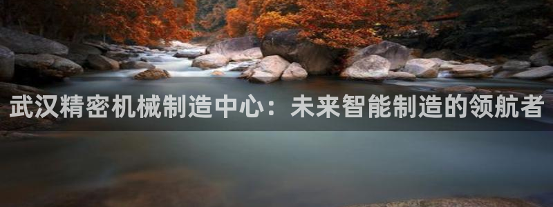 彩神ix可靠吗：武汉精密机械制造中心：未来智能制造的领航者