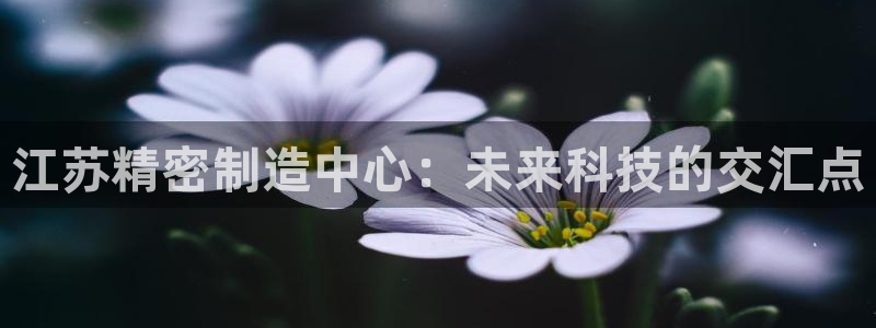 彩神网正规吗：江苏精密制造中心：未来科技的交汇点