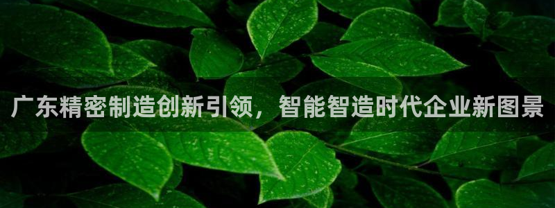 彩神大发是不是人为操作：广东精密制造创新引领，智能智造时代企业新图景