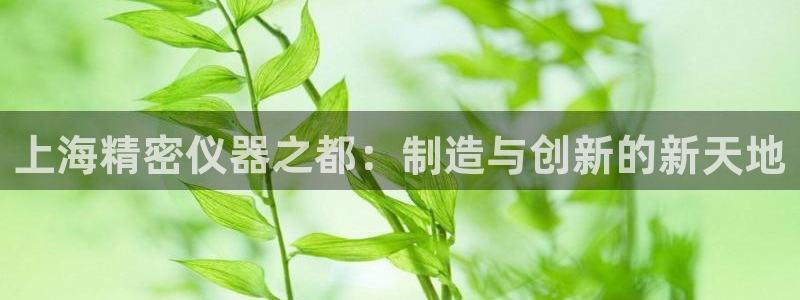 彩神v破解版