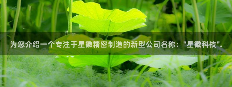 彩神是什么平台：为您介绍一个专注于星徽精密制造的新型公司名称：\