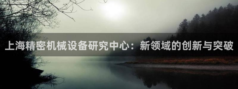 大发彩神争：上海精密