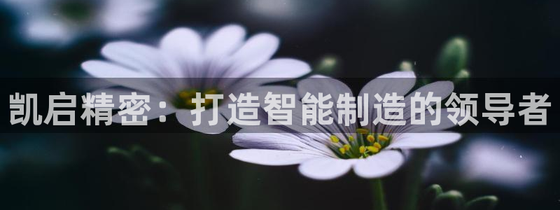 彩神争霸官方登录